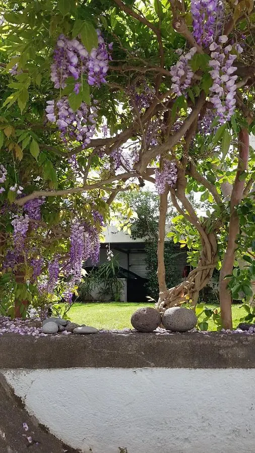 Villa Casa Da Madalena Do Mar Ferienhaus