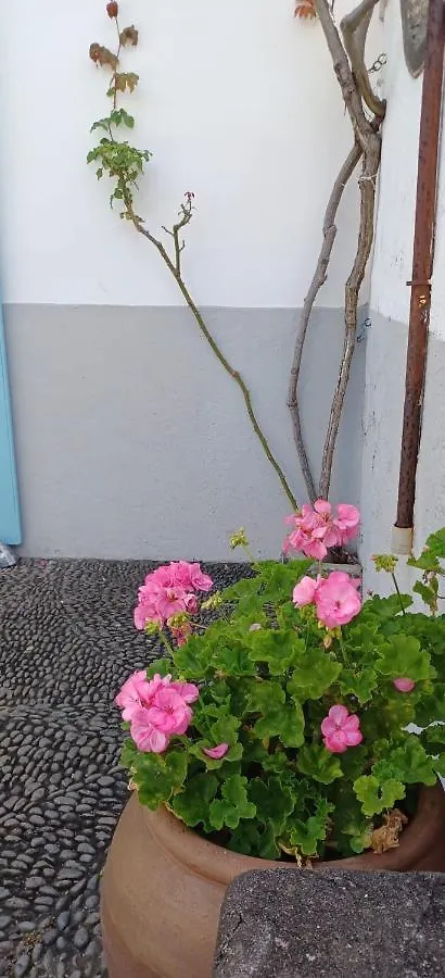 Villa Casa Da Madalena Do Mar Ferienhaus